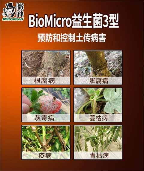 BioMicro土傳病害防控系列1型 /2型 /3型