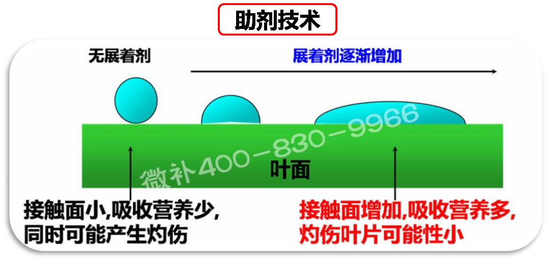 余教授德國(guó)鄉(xiāng)村行：我在德國(guó)為什么不會(huì)點(diǎn)啤酒了？