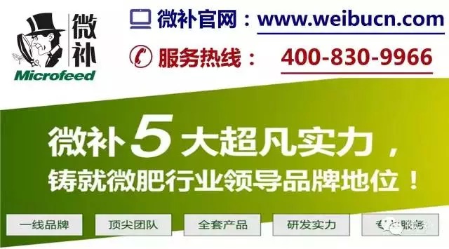 余教授奧地利鄉(xiāng)村行：萬科為什么說把奧地利小鎮(zhèn)搬回來？