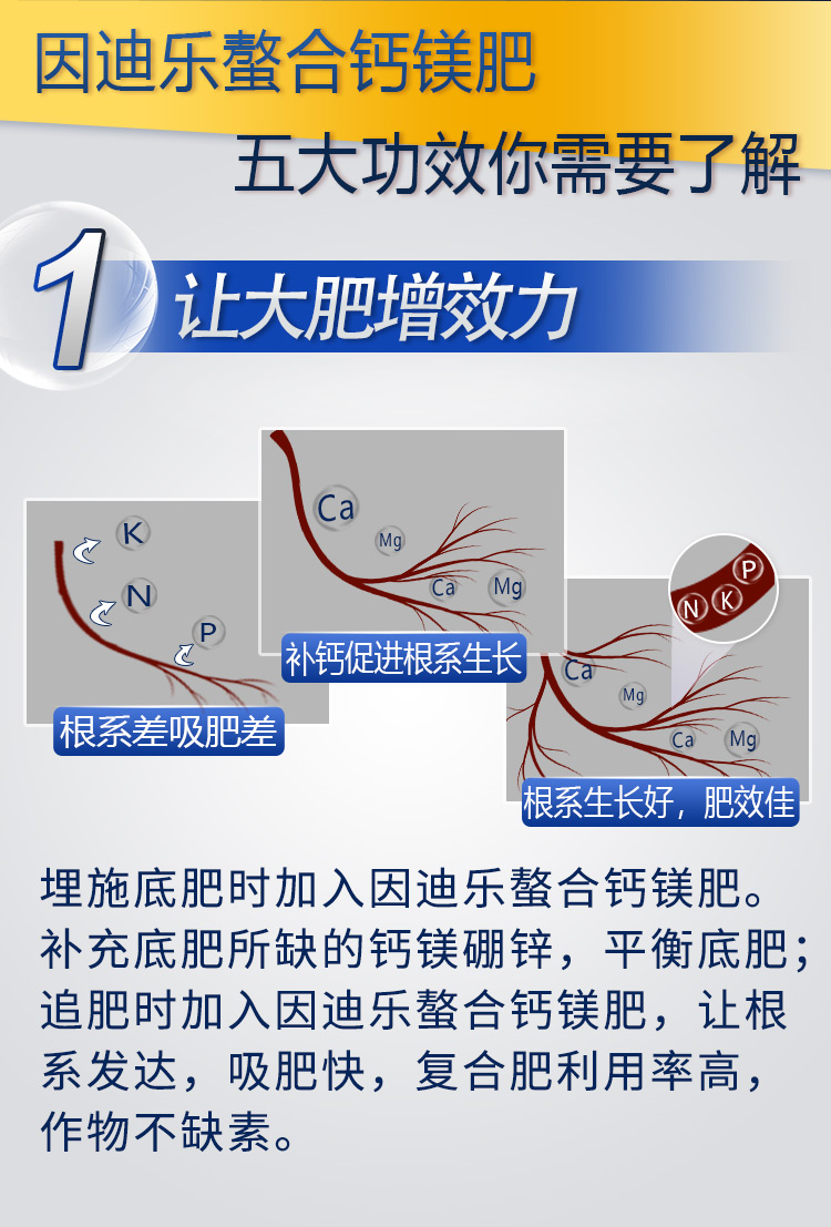 18因迪樂有機(jī)螯合鈣鎂肥2_04.jpg