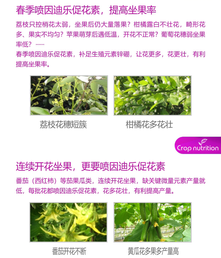 因迪樂(lè)有機(jī)促花素_04.jpg