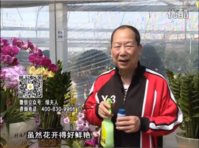 20160314珠江臺搖錢樹：家種鮮花、鮮切花，用綠夫人600度鮮花液保花艷、花期長